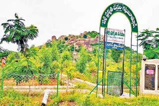 palle prakruthi vanam