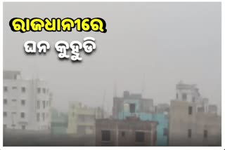 ସ୍ମାର୍ଟସିଟିରେ ଚଳିତ ବର୍ଷର ପ୍ରଥମ କୁହୁଡି, 17ରୁ ପୁଣି ବର୍ଷା