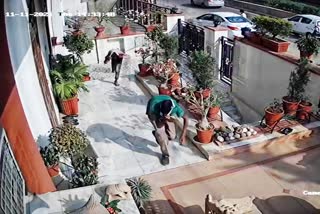 Theft case in Jaipur