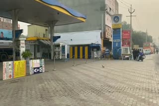 haryana petrol pumps dealer strike