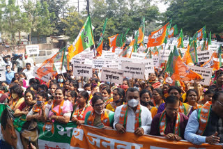 bjp protest march in nagpur