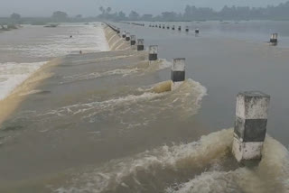 கொசஸ்தலை ஆற்றில் வெள்ளப்பெருக்கு