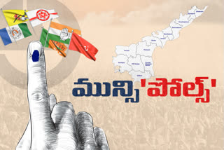 AP Municipal Elections