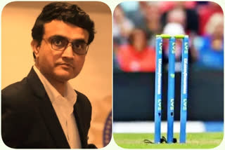 Restoration of India-Pakistan bilateral series in the hands of the government: Ganguly