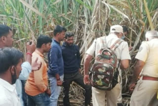 Satara: Son of a sugarcane laborer killed in leopard attack