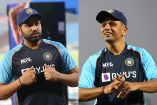 rohit sharma  rahul dravid  india vs new zealand  t20 series  ഇന്ത്യ-ന്യൂസിലന്‍ഡ്  രാഹുല്‍ ദ്രാവിഡ്  രോഹിത് ശര്‍മ  ടി20 പരമ്പര