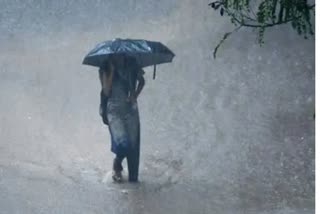 rain-alert-in-kerala-rain-will-continue-today-and-tomorrow-yellow-alert-in-districts