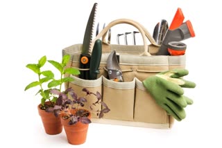 gardening,  plants,  home garden,  gardening tips, how to begin with gardening, basic things to buy for gardening, beginners guide to gardening, tools used for gardening, what are the tools used for gardening, basic gardening tools, how to take care of gardening tools