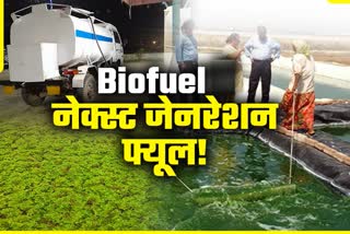 vishal-kumar-gupta-made-bio-petrol-diesel-from-algae-plants-in-ranchi