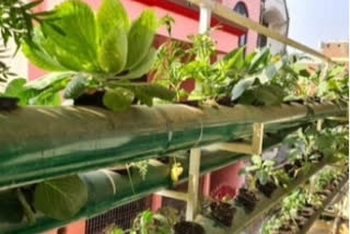 Journalist Converts 3 Storey Home Into Hydroponics Farm