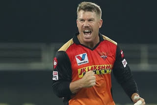 David Warner