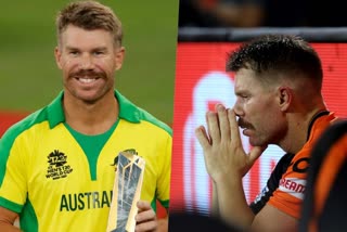 Brad Haddin  David Warner  SunRisers Hyderabad  T20 world  ipl  ഐപിഎല്‍  ടി20 ലോകകപ്പ്  ഡേവിഡ് വാര്‍ണര്‍  സണ്‍റൈസേഴ്‌സ്‌ ഹൈദരാബാദ്  ടി20 ലോകകപ്പ്