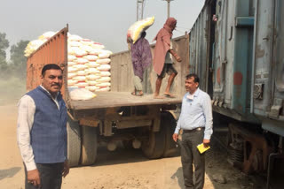 DAP fertilizer reached bhiwani