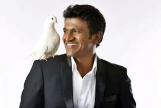 puneeth-rajkumar