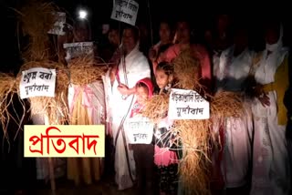 protest-against-poor-quality-of-work-of-c-and-contractors-at-bihpuria-assam-etv-bharat-news
