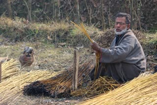 Willow wicker Craft from Ganderbal Counting its last days, Life journey of Wicker Artisan