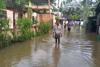 Kerala Rain  Alappuzha  Alappuzha local nesw  district collector  കേരളം മഴ  ആലപ്പുഴയില്‍ വെള്ളപ്പൊക്കം  ആലപ്പുഴ വാര്‍ത്ത