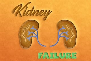 Kidney Failure, kidneys, kidney health, how to maintain kidney health, kidney failure, renal health, renal failure, how to prevent kidney failure, can a person live with one kidney, how long can a person live with one kidney,  Kidney Failure Impacts Life Expectancy Of Women More Than Men, who is at risk of kidney failure, what is kidney failure, how to prevent kidney failure, health, female health