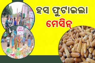 ଆସିଲା ମେସିନ; ହସିଲେ ମକା ଚାଷୀ