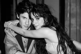 Camila Cabello,  Shawn Mendes, Camila and Shawn breakup,  Shawn Mendes and Camila Cabello,  Shawn Mendes and Camila Cabello split after 2 years of dating,  why did Shawn and Camila breakup,  hollywood,  hollywood news,  hollywood couples,  hollywood updates, entertainment news