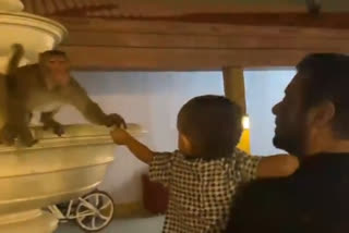 Salman Khan And his Niece Ayat Feeding Monkeys, video gets viral