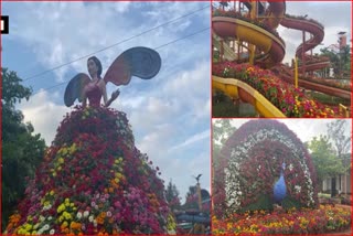 flower park in Nashik