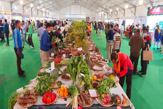 international spices and vegetables festival