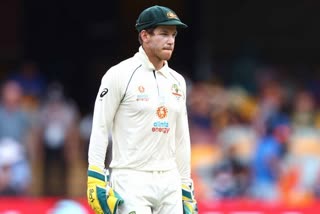 tim paine