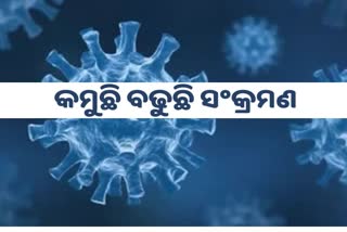 ODISHA CORONA: ଦିନକରେ ୨୪୨କୋରୋନା ପଜିଟିଭ ଚିହ୍ନଟ