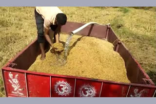 Paddy Procurement in Telangana