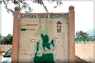 Sariska Tiger Reserve