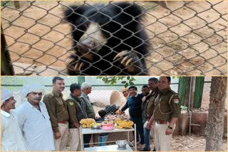 baby bear ganesh first birthday