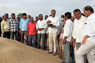 harish rao