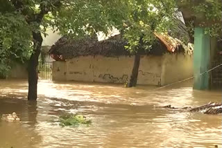 Tirupati rain news, ap rains