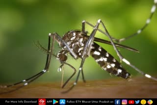Zika virus cases in UP