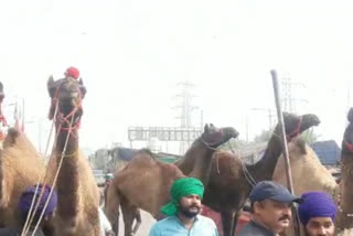 Ghazipur border