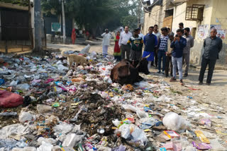 रणहौला इलाके में जगह-जगह लगे हैं कूड़े के ढेर