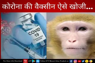 भारत ने ऐसे खोजी कोरोना की वैक्सीन.