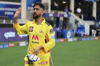 Dhoni on IPL 2022