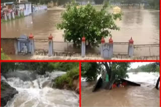 ap govt floods