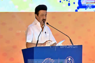 cm stalin speech in csk felicitation ceremony at chennai  cm stalin speech in csk felicitation ceremony  cm stalin speech  csk felicitation ceremony  ms dhoni  csk  mk stalin  மஞ்சள் தமிழர் தோனி  தோனியை புகழ்ந்த ஸ்டாலின்  சென்னை சூப்பர் கிங்ஸ்  சென்னை சூப்பர் கிங்ஸ் அணிக்கான பாராட்டு விழா  தோனி  ஸ்டாலின்