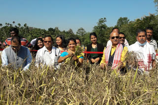 Assam Agricultural University celebrates Field Day