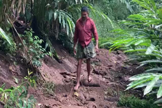 Heavy rains in Rajkumari  crops damage Idukki due to rain  Natural calamity Kerala news  Mullan Thand latest news  രാജകുമാരി പഞ്ചായത്ത്  ഇടുക്കിയിലെ കൃഷി നാശം  മുളംതണ്ട്  അഞ്ചേക്കറില്‍ കനത്ത മഴ  കാവസ്ഥാ വാര്‍ത്ത  മലയോര മേഖല  കുരിശുമല റോഡ്