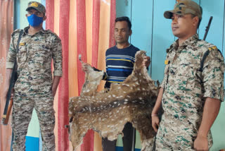 deer skin and pangolin scales recovery near siliguri