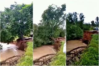 heavy-rains-in-tumkur-led-to-tree-fall