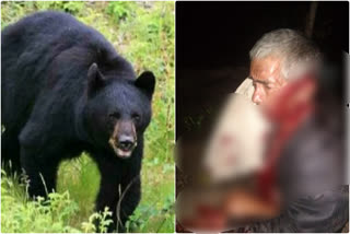 Bear terror in Kotdwar