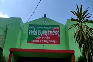 ଟ୍ରାଙ୍କୁଲାଇଜ ବେଳେ ଆକ୍ରମଣ କଲା ହାତୀ, ଫରେଷ୍ଟରଙ୍କ ସହ ୨ ଗୁରୁତର