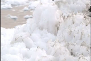 Another day, another frothing in Yamuna river at Delhi's Kalindi Kunj