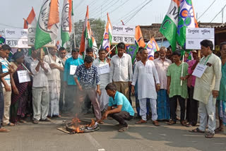 TMC Suppoters Protest in Sagar for Sayani Ghosh Arrest in Tripura