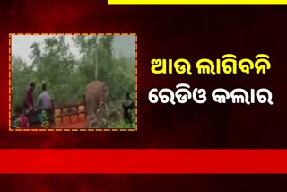 radio callers installation to elephants has been suspended for indefinite time after 5 got serious in khorda elephant attack